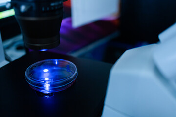 Production line pharmaceutical industry. Manufacturing of drugs and medications, pharmaceuticals. Technician, scientist works in a scientific laboratory. biotechnology petri dish