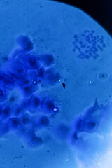 Production line pharmaceutical industry. Manufacturing of drugs and medications, pharmaceuticals. Technician, scientist works in a scientific laboratory	