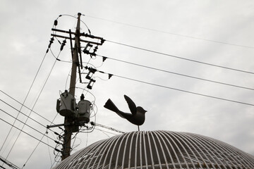 The silhouettes of the dove sculpture and power transmission pole