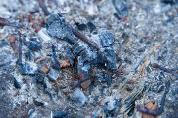 Extinguished coals and ashes in the grill as a natural background.                              