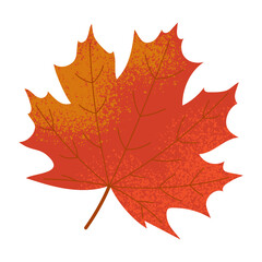 Red autumn maple leaf isolated on white. Vector illustration with grain texture
