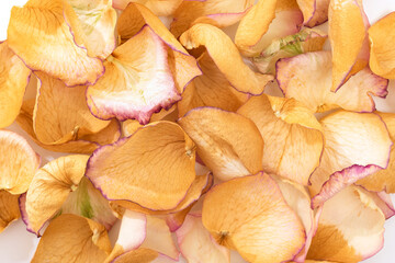 Yellow dry rose petals as a background, top view