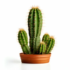 woven basket isolated on white details of boho style eco bohemian design interior black and white back ground,