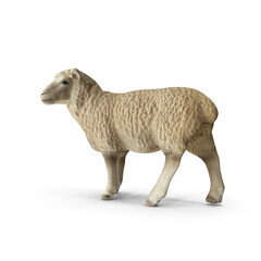 sheeps in 3d cartoon style isolated on white background