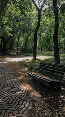 Sunlit park path with an empty bench in greenery.