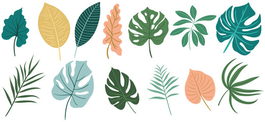 Fototapeta premium Abstract color leaves isolated on white collection. Tropical leaves set. Hand drawn vintage illustration.