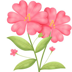Pink flowers