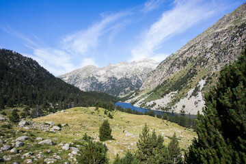 Summer landscape in Vall de Boi in Aiguestortes and Sant Maurici National Park, Spain