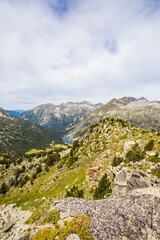 Summer landscape in Vall de Boi in Aiguestortes and Sant Maurici National Park, Spain