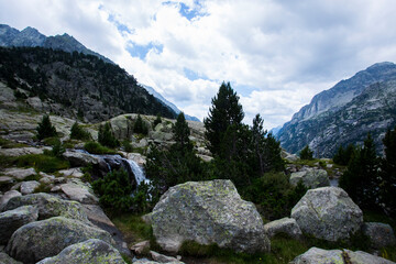 Summer landscape in Vall de Boi in Aiguestortes and Sant Maurici National Park, Spain