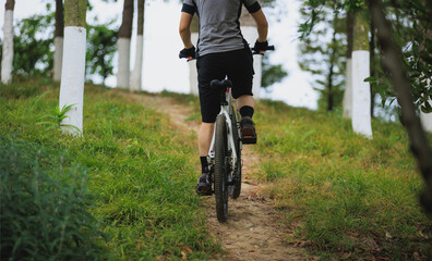 Naklejka premium Woman mountain biking on mountain trail
