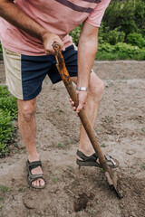 An elderly man, a retired gardener, digs soil with a shovel in his hands in the spring in the...