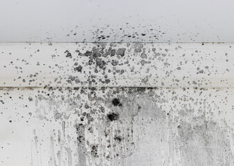 black splashes of paint on a white wall.