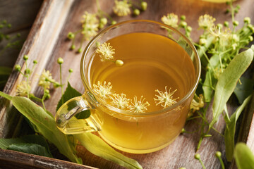 A cup of herbal tea containing fresh linden or Tilia cordata flowers harvested in springtime