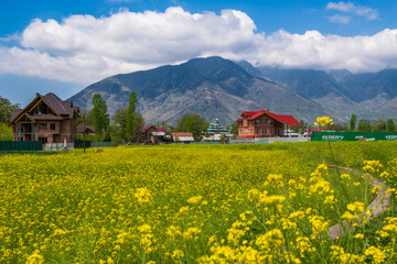 an old farm with houses in the background and a mountain