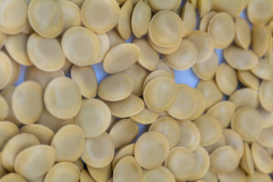 Anolini hand made in Parma