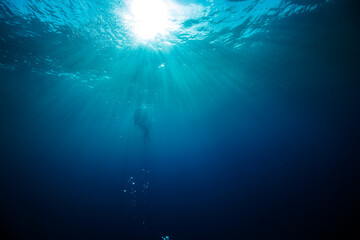 Low angle shot of people diving under the sea on a sunny day