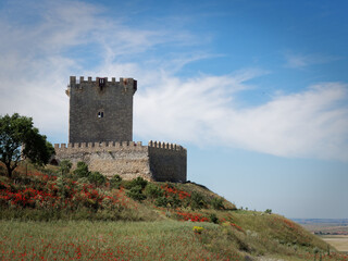 Scenic view of the medieval castle of Tiedra in Spain © Wirestock