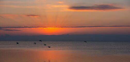 Birds fly over water at sunset with sun rays shining.