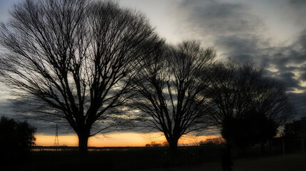 日本の早朝の風景(マジックアワー)自然の風景
