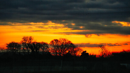 日本の早朝の風景(マジックアワー)自然の風景