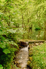 Obraz premium Water flowing near a bridge and trees.