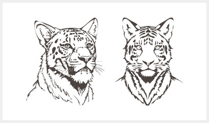 Sketch tiger tattoo isolated Animal clipart Vector stock illustration EPS 10