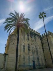 Ancient stone structure with a palm tree in Alcazar Jerez de la Frontera, Andalusia, Spain