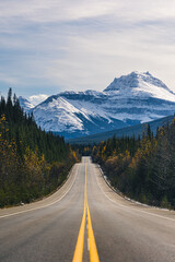 Naklejka premium Scenic view of a road winding through snowy mountain forest