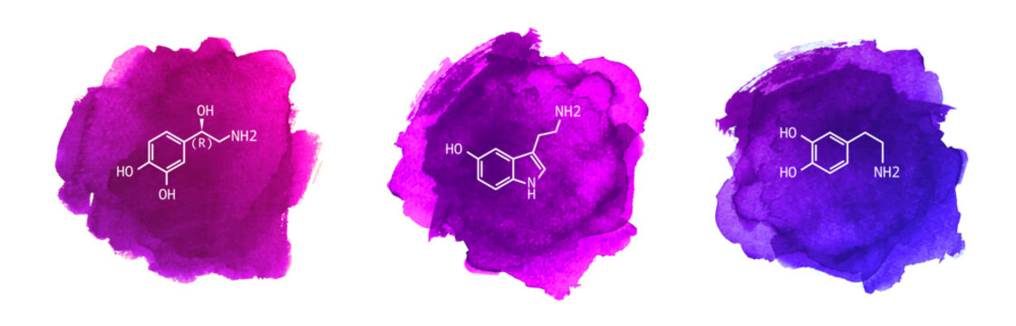Neurotransmitters vector illustration on watercolor background