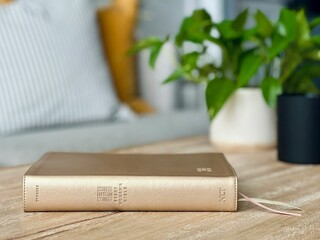 On a rustic wooden table lie a notebook and a lit cigarette. The notebook, filled with handwritten notes, sits open, while the cigarette's smoke curls upward.