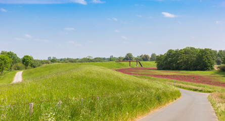 Bicycle path following the dike of the Ems river in Papenburg, Germany