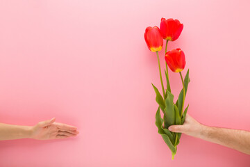 Young adult man hand holding and giving fresh beautiful red tulip flowers with green leaves to...