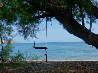 Unoccupied swing sways from tree branches on a sandy beach