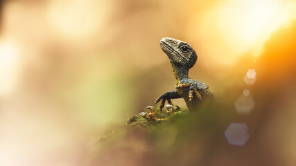 The lands before time.  © David