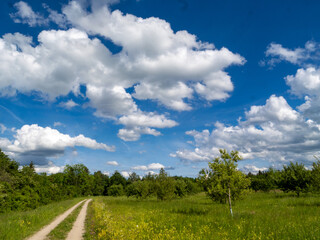 Landscape with a path, meadows and trees near Brunnthal south of Munich.