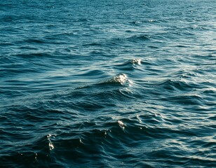 Naklejka premium Turquoise Waves: Sunlit Water Surface in Detail