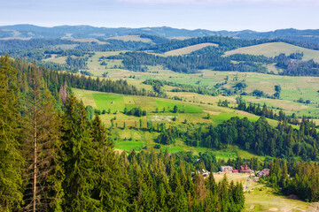 rural landscape in carpathian mountains of ukraine. alpine countryside scenery with grassy meadows and forested rolling hills in summer. beautiful view of the valley near borzhava ridge from above