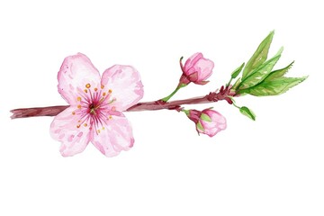 A watercolor painting of a pink flower with a green stem. The flower is the main focus of the painting, and it is in full bloom. The painting has a serene and peaceful mood