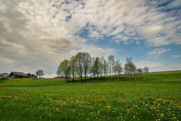 Spacious rural farm field on a sunny day