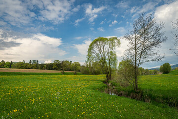 Spacious rural farm field on a sunny day