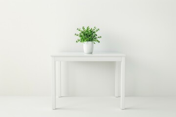 A white table with a potted plant on top of it