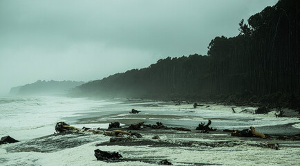 Bruce Bay Beach Sea Foam