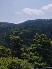 landscape with trees