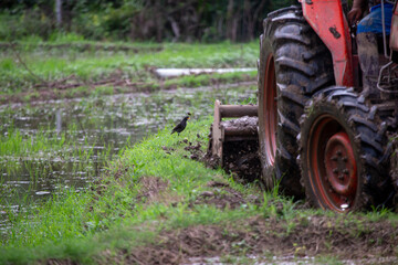 Obraz premium selective tractor plowing soil in rice fields It's about to be rice planting season in the rice fields. It's almost rainy season in the rice fields of