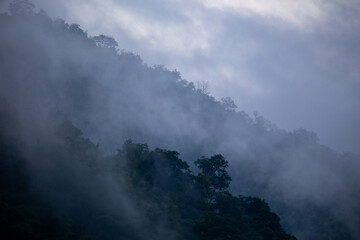 The background texture of mountains in the rainy season and the icy rain fog feels cool and refreshing with the green color of the forest that is cool and pleasing to the eye.