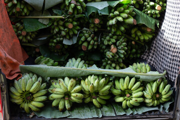 selective focus lots of green bananas in the truck Always buy fresh bananas from villagers.