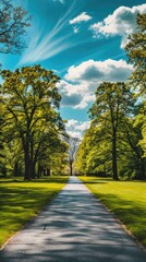 Fototapeta premium a scenic park, verdant green grass and towering trees frame a clear blue sky, while an asphalt road stretches into the distance, presenting a tranquil nature landscape perfect.