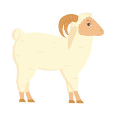Vector illustration of sheep on transparent background