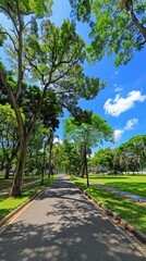 a scenic park, verdant green grass and towering trees frame a clear blue sky, while an asphalt road stretches into the distance, presenting a tranquil nature landscape perfect.